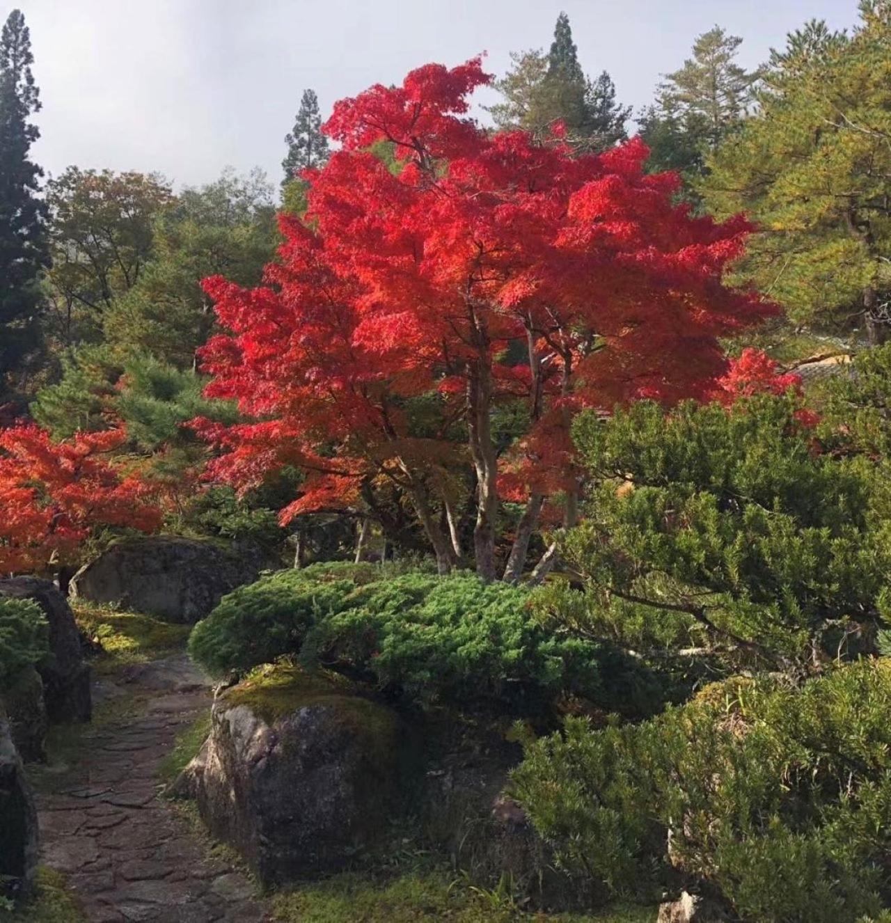 Shohakuen Villa Takayama  Exterior foto